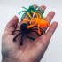 Jumping Spiders Family Game - Pixie Toy Store